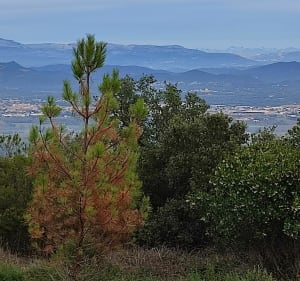Randonnée proche camping la Bergerie - Roquebrune sur Argens - 3