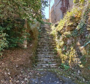 L'étang de Lussac - Lussac les Château - 2