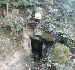 Au fil de l'eau de Laroque-des-Albères - Laroque-des-Albères - 2