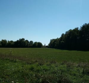 Balade le long de la Seille - Montigny-lès-Metz - 2
