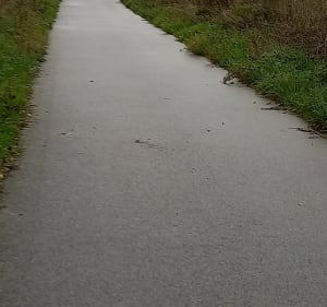 Belle balade dans les environs de Fontaine-la-Mallet - Fontaine-la-Mallet - 2