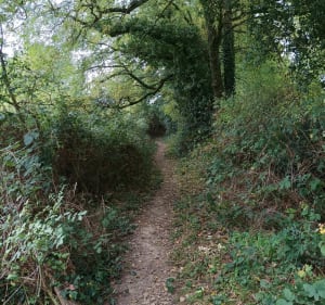 Campagne du Loroux vers Barbechat - Agathe - 3