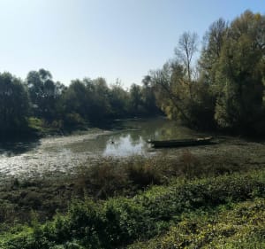 Au bout des ponts de Mauves - Mauves-sur-Loire - 2
