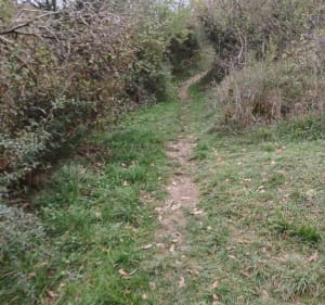 Moncel, le sentier des vieilles vignes et le Chapeau de Gendarme - Val-Revermont - 2