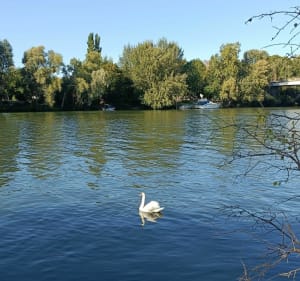 Longer les bords de Seine - Les Mureaux - 2