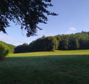 Balade entre le Lac des Bariousses et le plateau - Saint-Hilaire-les-Courbes - 2