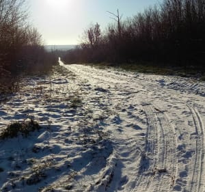 Circuit forêt Clairlieu - Villers-lès-Nancy - 2
