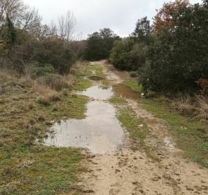 Haut de Sauzet - Stéphane - 4