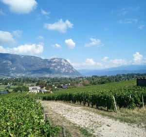 Randonnée des diots - Chambéry - 2