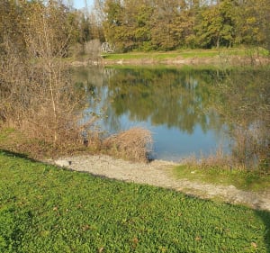 Sentier du cincle et du petit lac - Rumilly - 4