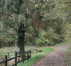 Jolie promenade entre Mance et Mancieulles - Val de Briey - 2