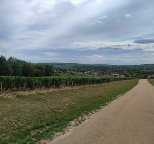 Promenade Varennes Maligny Ligny - Varennes - 2