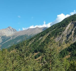 Richting het uitzichtpunt Mont Viso - Abriès-Ristolas - 2