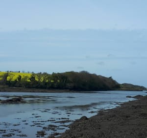 Promenade entre patrimoine et Aber Ildut - Porspoder - 2