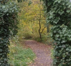 De Haillicourt à La Buissière - Haillicourt - 2