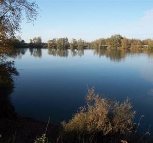 Boucle villemouze - 5 km - Paray-sous-Briailles - 2
