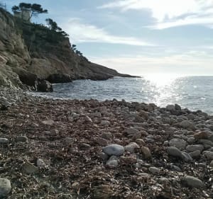 Rando VTT de la calanque des eaux salées - Régis - 3
