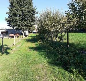 Chauvigné : campagne et forêt dans un paysage très vallonné - Decathlon - 4