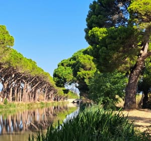Autour d'Ouveillan - Sallèles-d'Aude - 2