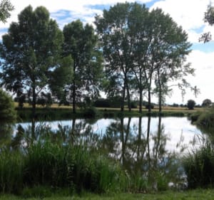 Sortie VTT au Bois des Franchises et lac de Fréminville - Decathlon - 2