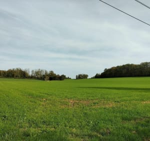 Un bol d'air autour de Brevilliers - Brevilliers - 2