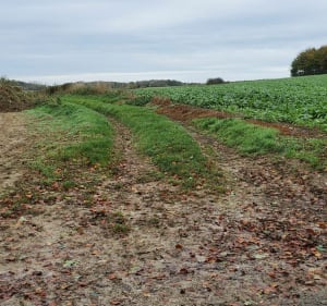 Entre les monts d'Eps et d'Herbeval - Eps - 2