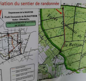 Clos du Cotentin, Mont de Besneville 50 - Saint-Sauveur-le-Vicomte - 2