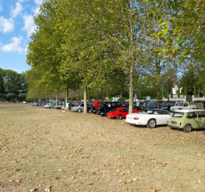 Bord de Loire vers le sud - Saint-Pryvé-Saint-Mesmin - 2