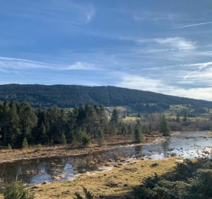 Jusqu’au lac des Rousses - Les Rousses - 2