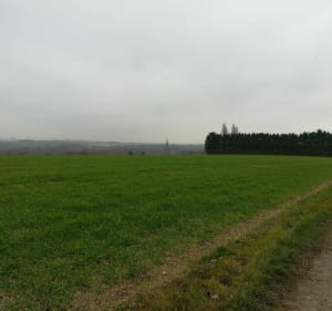Sortie champêtre entre ville et campagne - Decathlon - 2