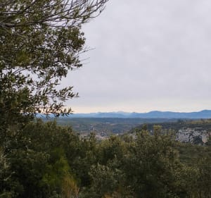 Des Rouvières au balcon du Verdon - Saint-Julien - 2