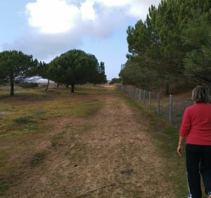 De la casse de la Belle Henriette à la plage des Chardons - L'Aiguillon-la-Presqu'île - 2