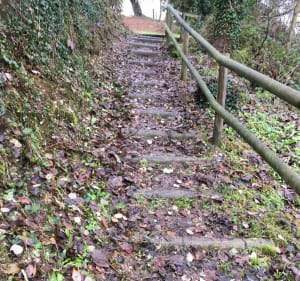 Bocage Normand - Maxime - 5