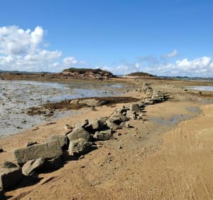 Balade sur l'île Callot - Carantec - 3