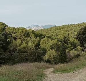 Le 8 de "l'Hacienda" à Fabrégas - Myname - 3