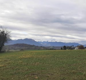 Oppidum d'ASSON en boucle - Igon - 4