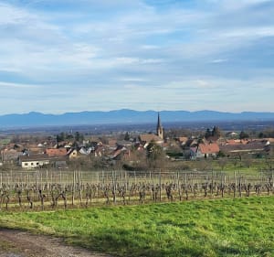 Jungholtz - Thierenbach, chemin de croix, parc à cigognes - Jungholtz. - 5