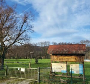 Jungholtz - Thierenbach, chemin de croix, parc à cigognes - Jungholtz. - 4