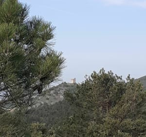 Randonnée bucolique sur la Raye - La Baume-Cornillane - 2