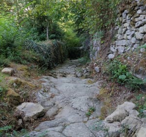En remontant la coulée volcanique... Volcan d'Ardèche. - Jaujac - 4