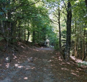 Panorama à couper le souffle sur le sentier "Pigeon ramier" - Borne - 2