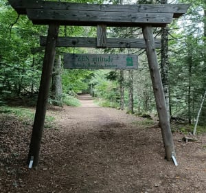 Parcours sylvatorium des capucines au Mont Dore - Mont-Dore - 2