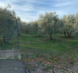 La thomassine et les hauts de Manosque - Manosque - 2
