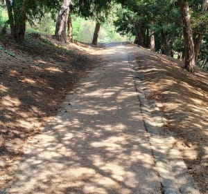 Petit tour de Buttes Chaumont - Emmanuel - 2