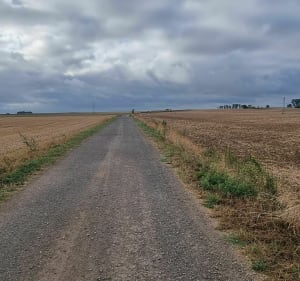 La campagne Maingeoise - Maing - 2