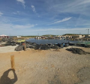 Village pêcheur et les goules - Gruissan - 3