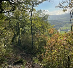 Excursion sur les hauteurs de Lucey - Decathlon - 4