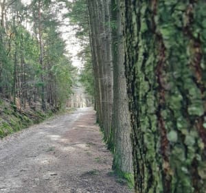 Petite balade entre Buhl et Schweighouse... - Buhl - 2