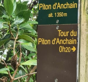 Pyton d'Anchaing - Salazie - 4