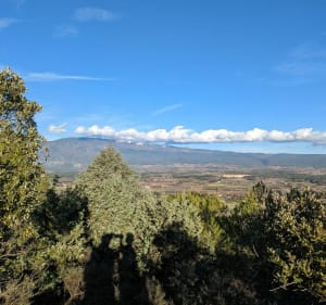 En forêt en Mazan et Mormoiron - Nathalie - 2